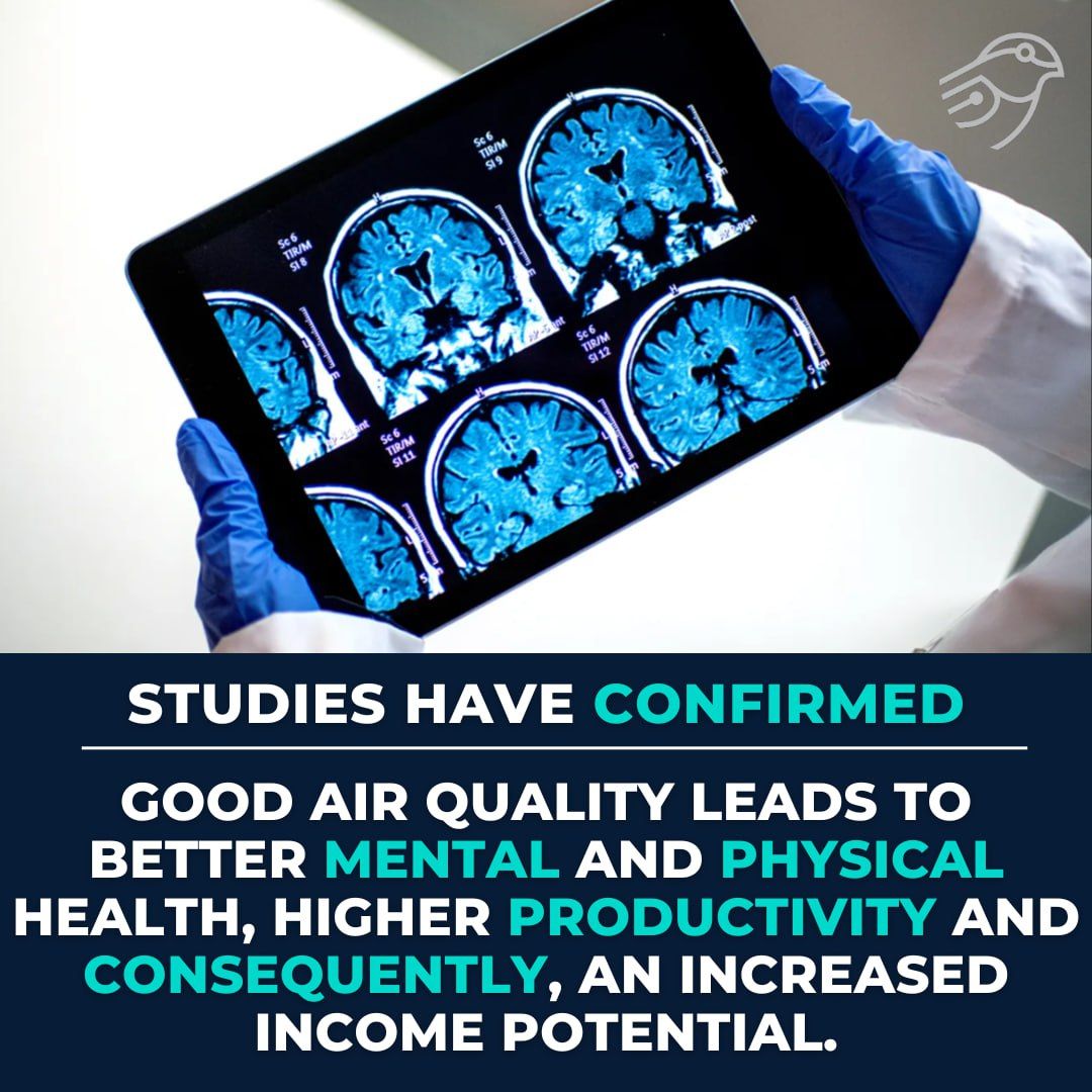 How Air Pollution Can Impact The Mind, Not Just The Lungs!