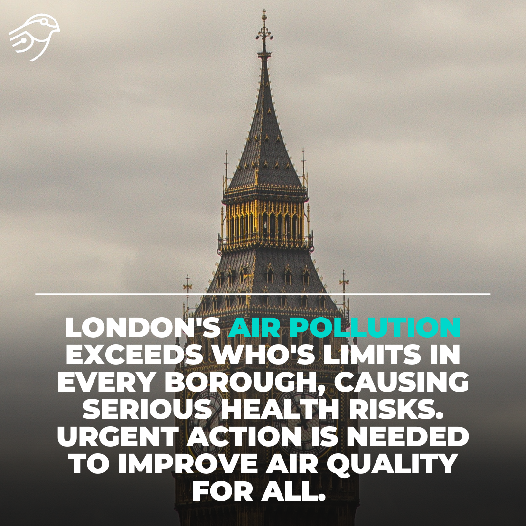New highly localised data shows every borough in London exceeds World Health Organization limits for toxic pollution