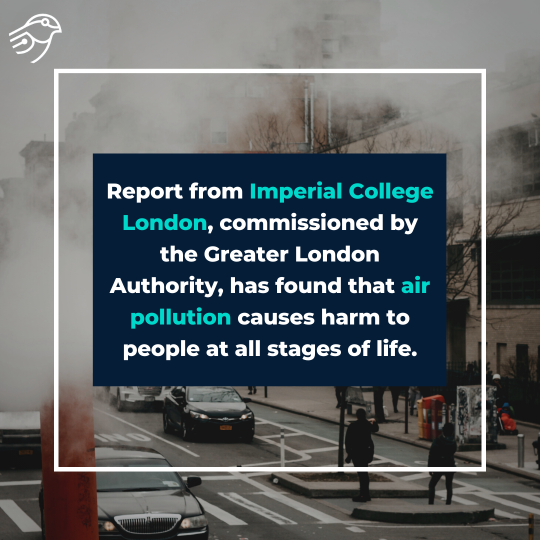 Air pollution causes harm at all stages of life – report
