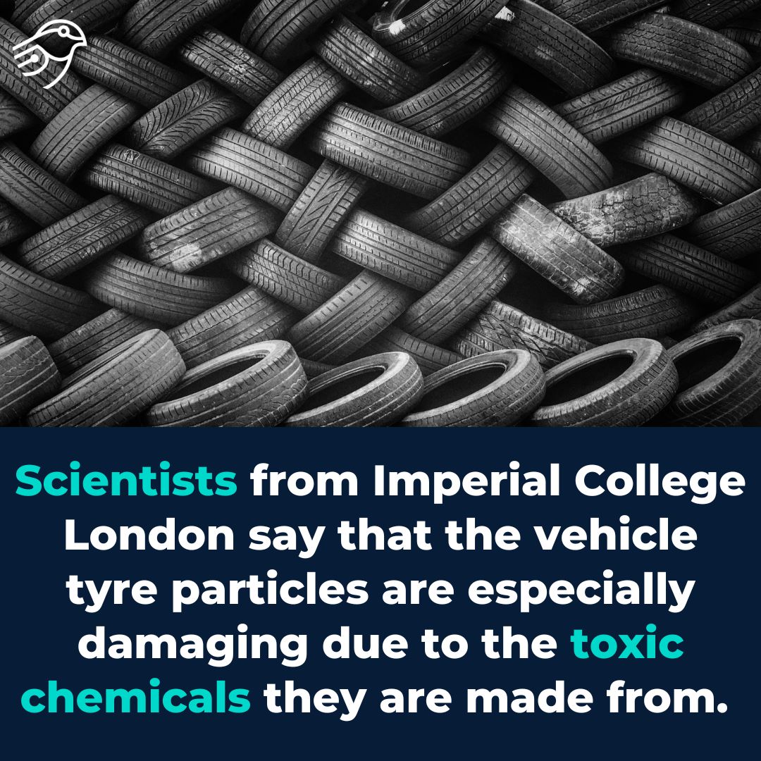 Health impact of tyre particles causing “increasing concern”, say scientists